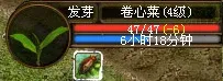 Ӣ�����(���������Ϸ)