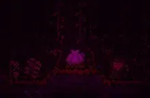 ̩�����Ǵ浵��׿���ֻ���