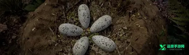 恐龙岛生存进化 恐龙岛生存进化