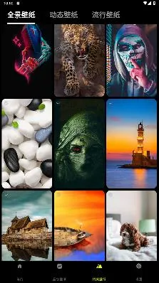 Ƥ��������ֽ�����ֻ���
