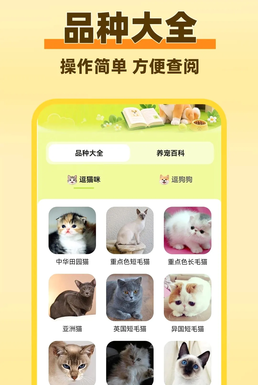 è���������Է����������ֻ���