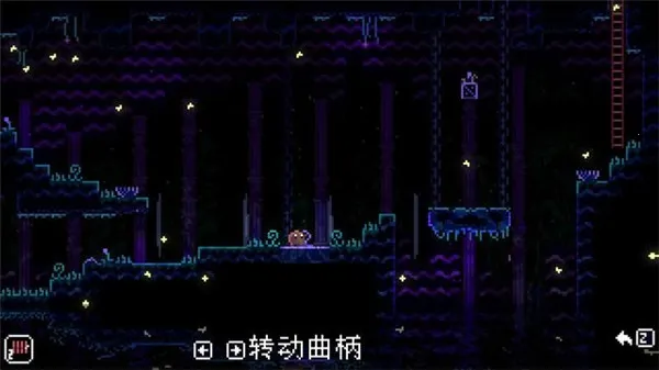���ﾮAnimalWell