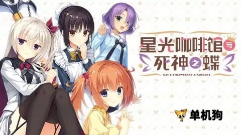 �ǹ⿧�ȹ�������֮��ֱװ