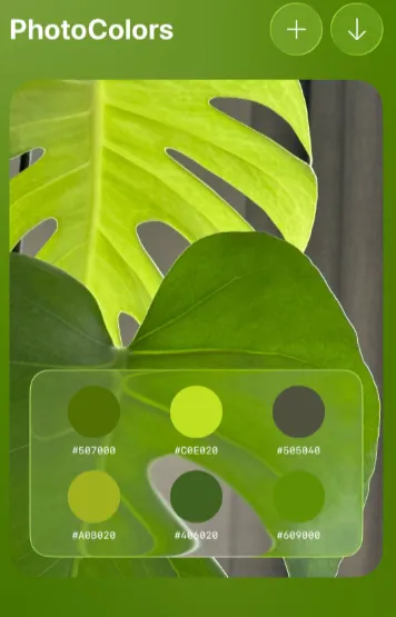 PhotoColors(���մ���ƽ̨)
