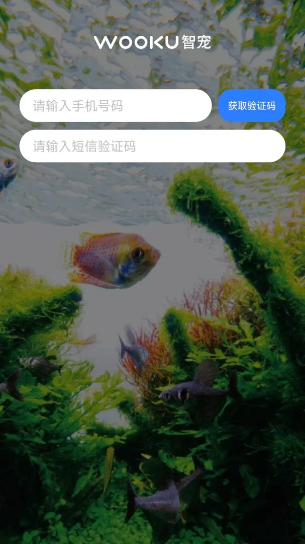 WOOKU�ǳ�(����ˮ��Ʒ��)